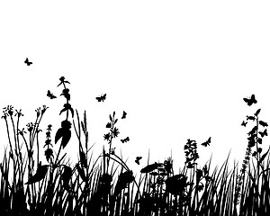 Image showing meadow silhouettes