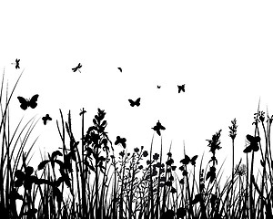 Image showing meadow silhouettes