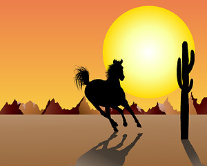 Image showing horse on sunset background