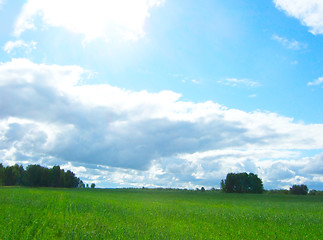 Image showing summer landscape