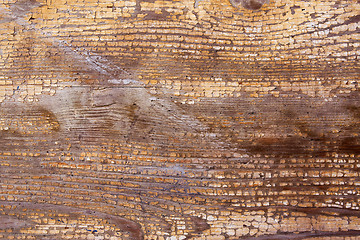 Image showing Wood texture 