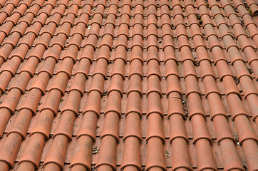 Image showing Background of clay round tiles covered roof 