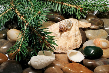 Image showing Sea stones