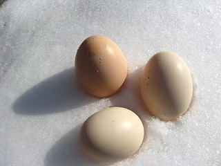 Image showing Three eggs of turkey on the snow