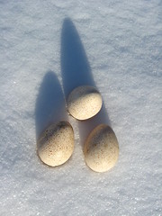 Image showing Three eggs of turkey on the snow