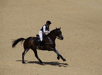 Image showing Eventing rider