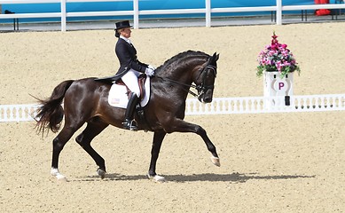 Image showing Dressage rider