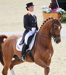 Image showing Dutch dressage rider