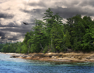 Image showing Lake Shore