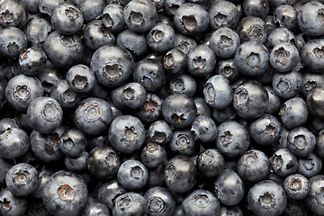 Image showing blueberries background