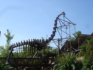 Image showing Dinosaur Skeleton