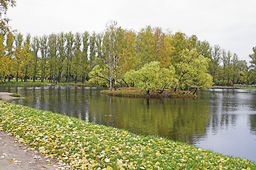 Image showing lake in an autumn park