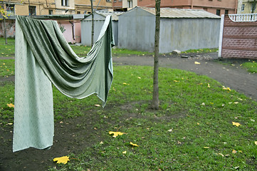 Image showing Curtain drying on string in backyard 