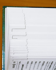 Image showing Fanned pages 