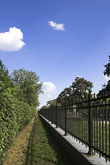 Image showing Iron Fence