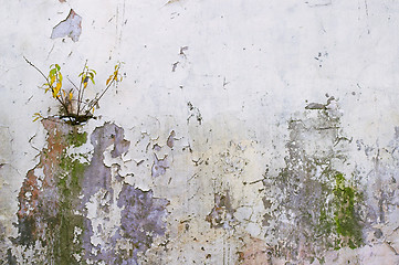 Image showing Corroded Wall 