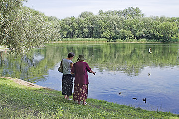 Image showing elderly women 