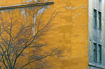 Image showing Corroded Wall