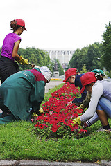 Image showing Girls Doing Gardening 