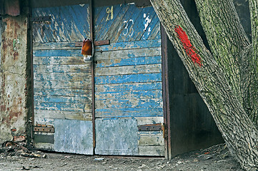 Image showing Gates of old garage 