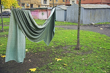 Image showing Curtain drying on string in backyard