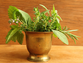 Image showing Herbs