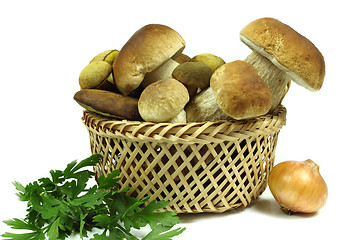 Image showing Mushrooms