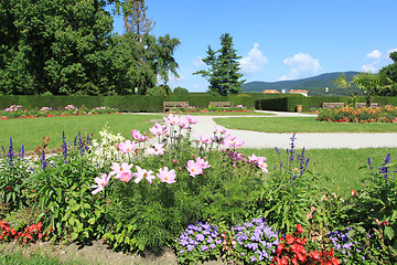 Image showing Summer garden