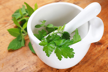 Image showing mortar with herbs