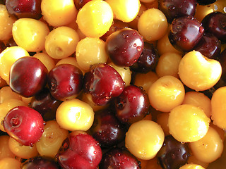 Image showing Washed berries of a sweet cherry