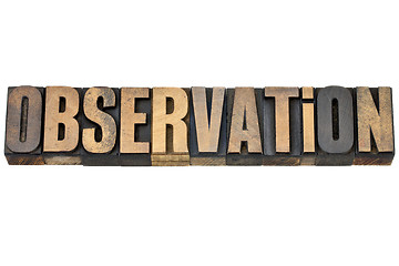 Image showing observation word in wood type