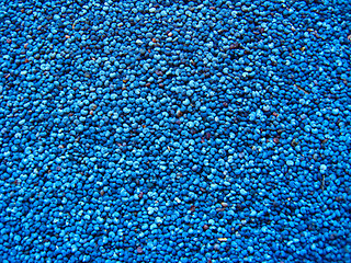 Image showing Blue seeds of the poppy