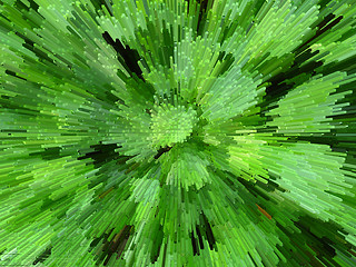 Image showing Green abstract background