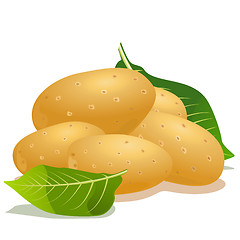 Image showing Vector potato and green leaf