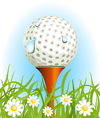 Image showing Golf ball on the grass