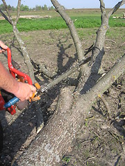 Image showing The man working with petrol saw