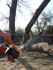 Image showing The man working with petrol saw