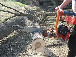 Image showing The man working with petrol saw