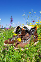 Image showing hiking boots meadow