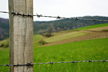 Image showing Barb Wire