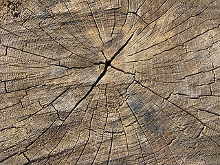 Image showing Wooden dark background