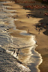 Image showing Sunset on Piratininga beach 