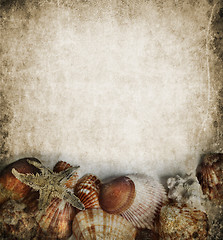 Image showing Seashells frame