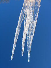 Image showing Icicles on a background of the blue sky