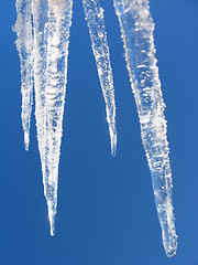 Image showing Icicles on a background of the blue sky