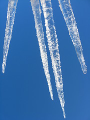 Image showing Icicles on a background of the blue sky