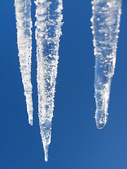 Image showing Icicles on a background of the blue sky