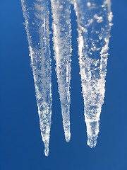 Image showing Icicles on a background of the blue sky