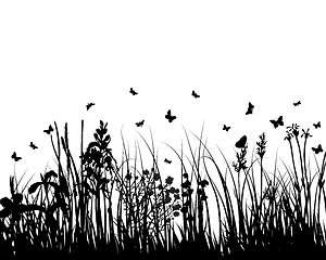 Image showing meadow silhouettes