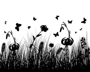 Image showing meadow silhouettes